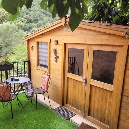 Loue Chalet De 11M2 Auribeau-sur-Siagne Exterior photo